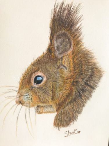 Animaux-pastels