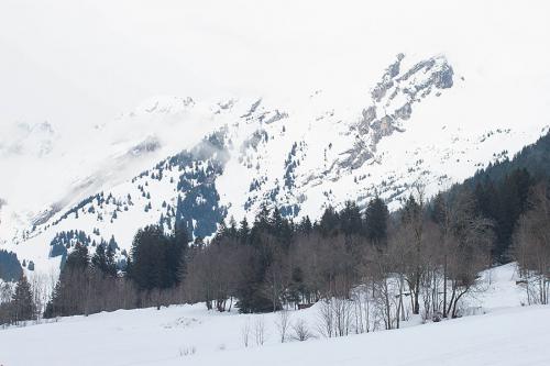 Neige